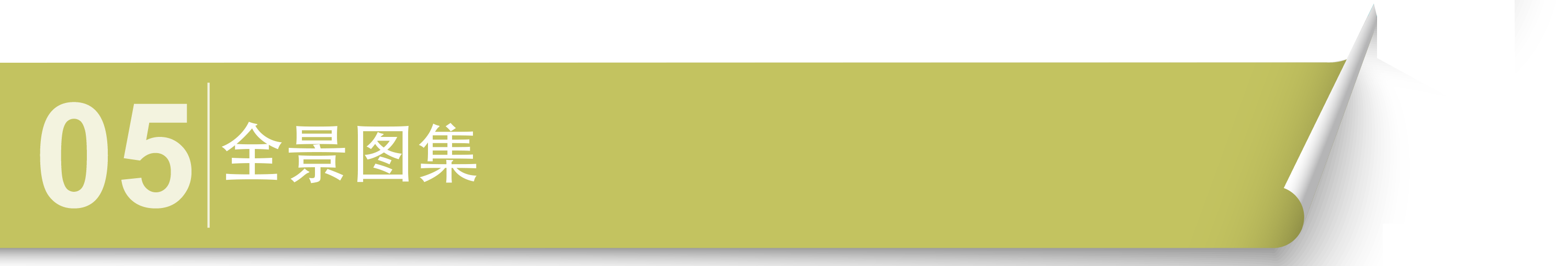 05.png